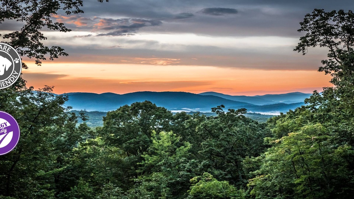 Helen Cabin | 🍁 Huckleberry Cabin - wifi, Fireplace, fire pit, VIEWS! Only 3 miles To Helen!