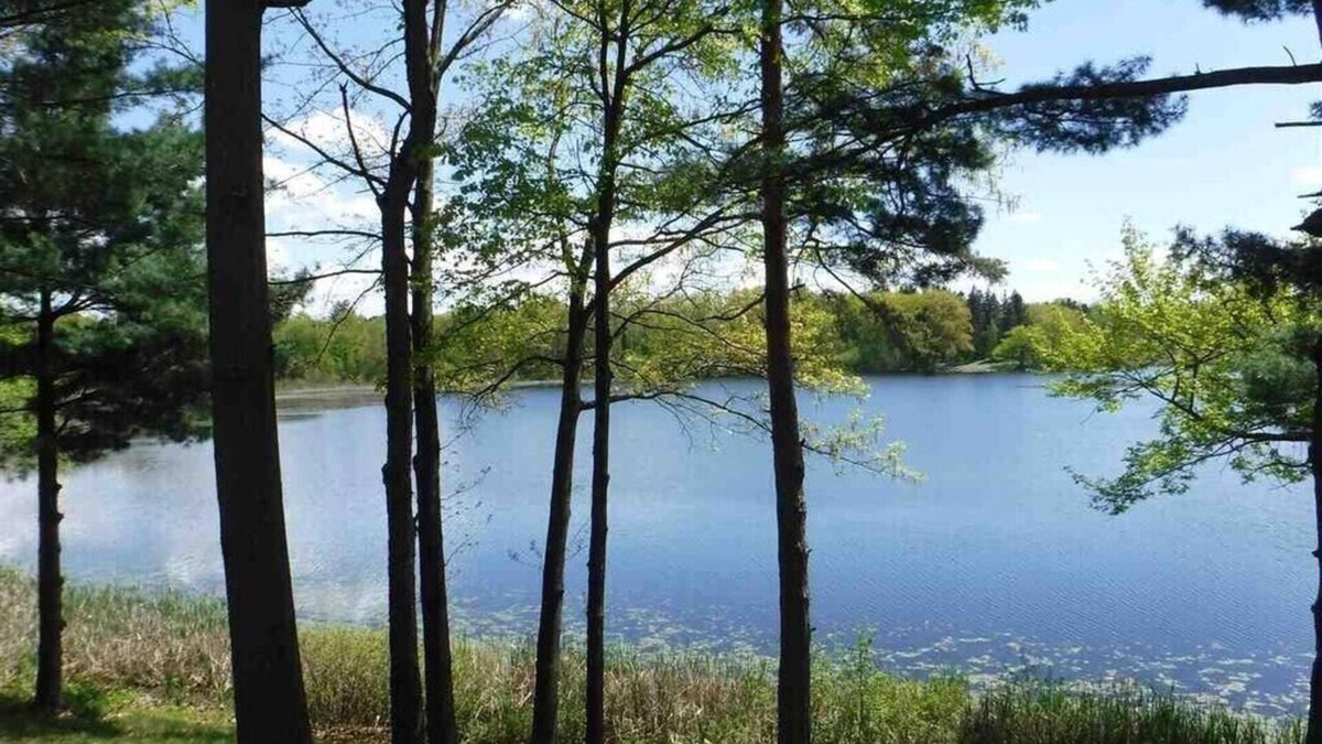 Valatie Cottage | Hudson: Martin Van Buren lake cottage lll (3)