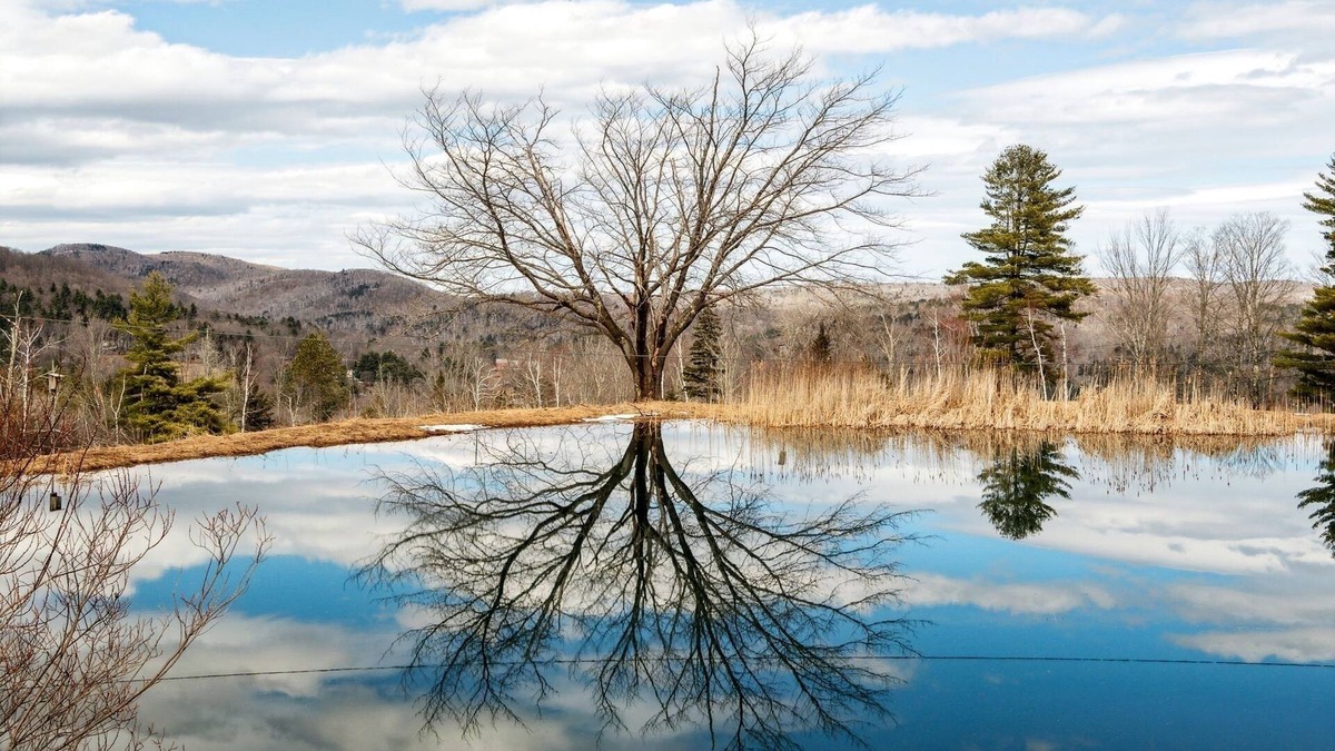 Reading House | Huge Home with Private Pond - Ideal Remote Getaway for Family, Friends & More