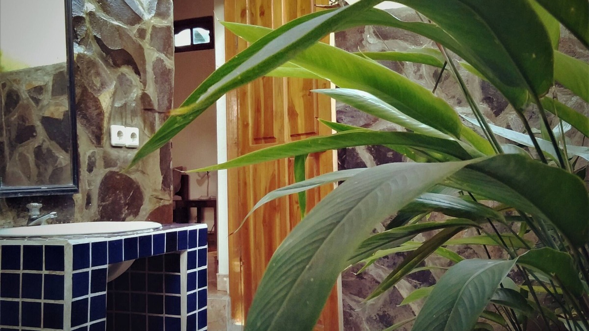 Tukad Mungga Bed & Breakfast | Huge room with open bathroom overlooking rice fields