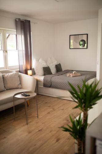 Wiesloch Apartment | HUGOS Studio Apartment