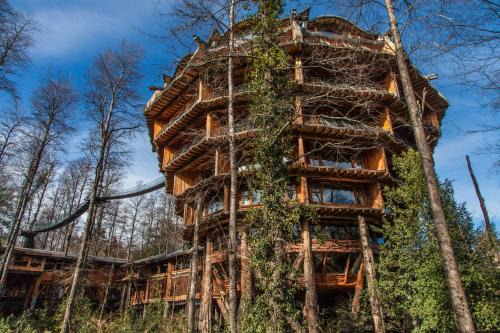 Neltume Cabin | Huilo Huilo Nothofagus Hotel & Spa