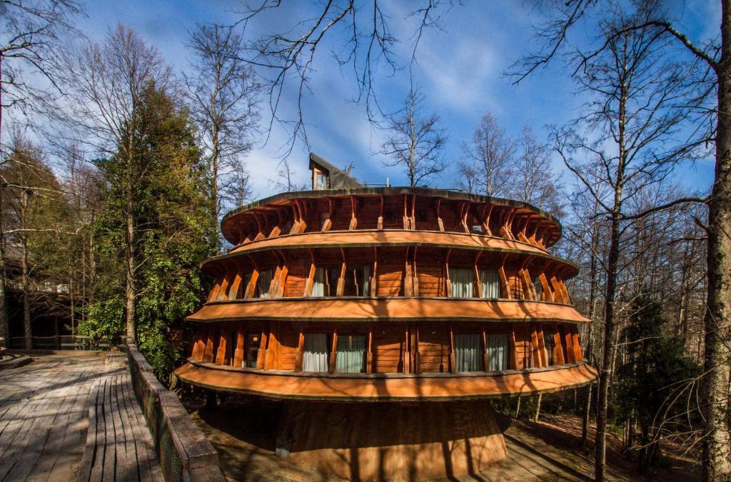 Neltume Cabin | Huilo Huilo Reino Fungi