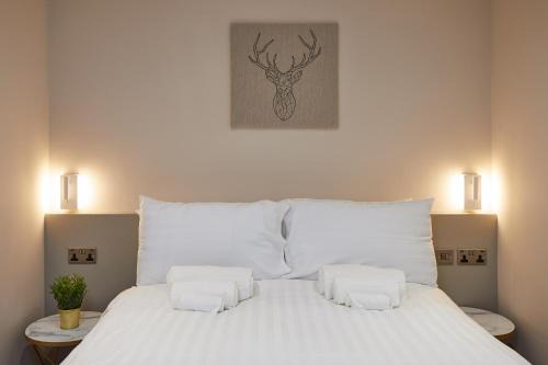 Hull Old Town Apartment | Humber Lofts Apartments