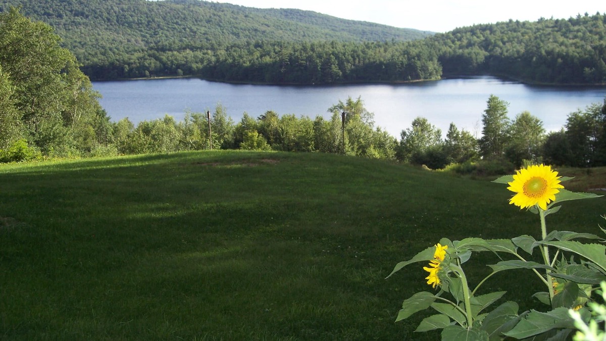 Stoddard Bed & Breakfast | Hummingbird Hill Bed & Breakfast 1