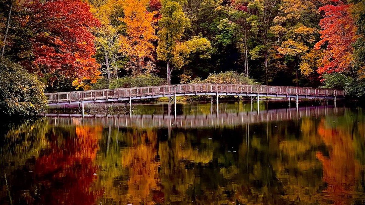 North Fork Ski Chalet | Hungry Mother State Park Marion, VA “Chalet at the Lake”
