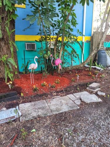 Anclote River Acres Apartment | hunker bunker river front 2