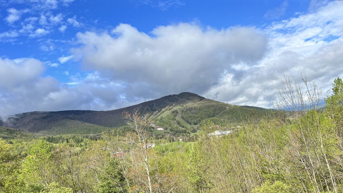 Hunter House | Hunter Mountain View Townhome - 3mins to Ski Slopes