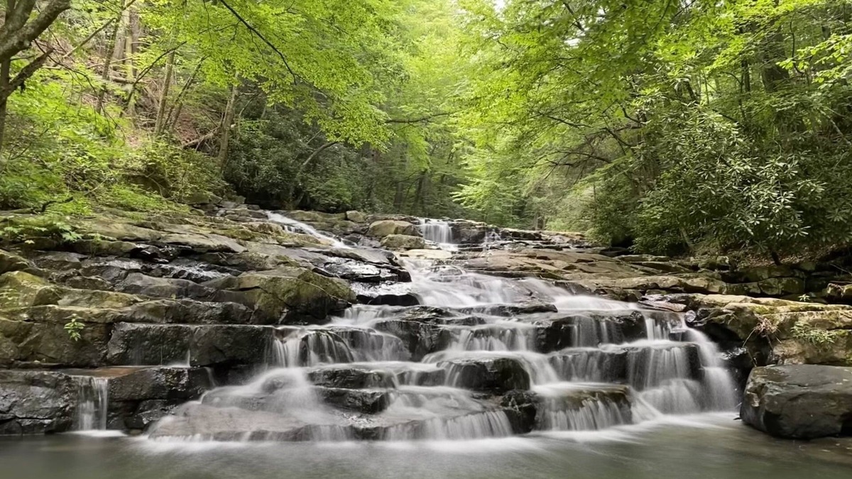 Bloomington Cabin | Hunter's/Fishermen's Dream Cabin! - Direct Access to public game lands!