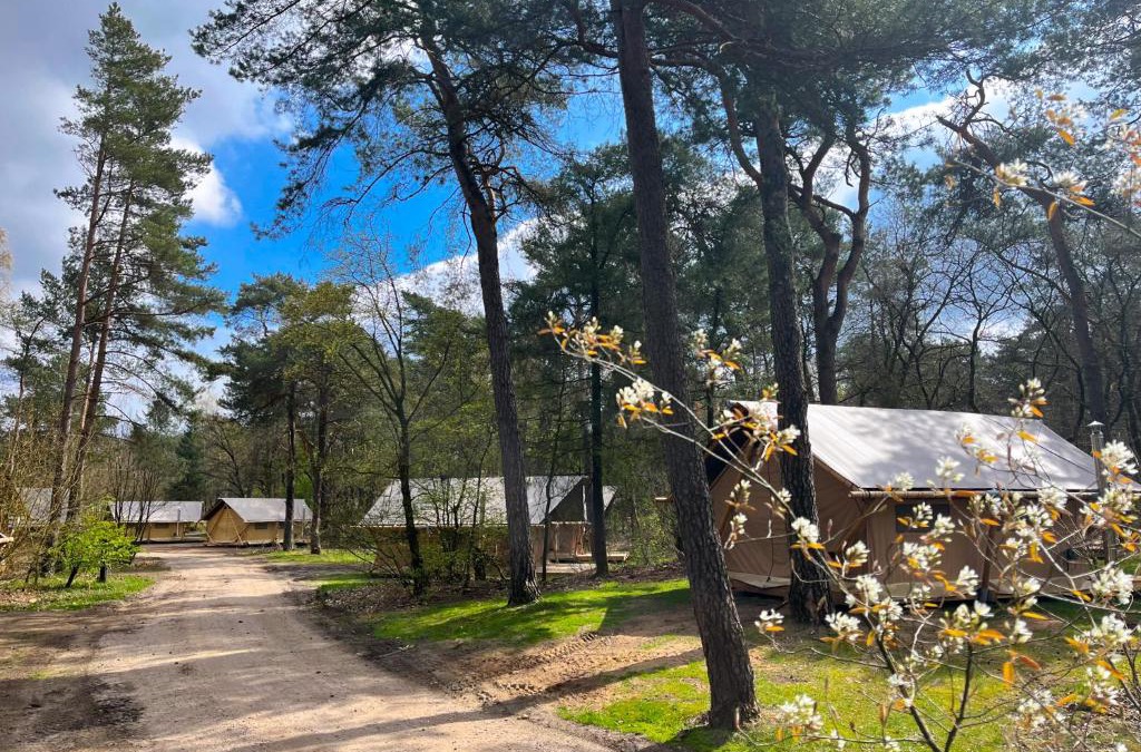 Kootwijk Other | Huttopia De Veluwe
