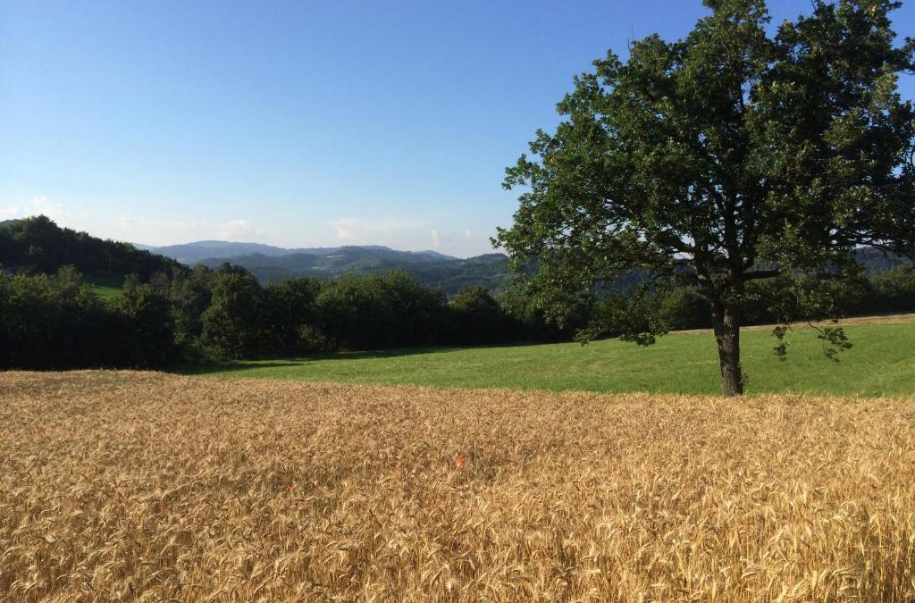 Cosseria Bed & Breakfast | I Calleri Garden and Rooms