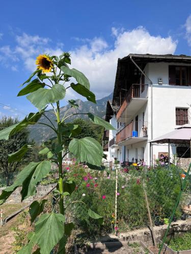 Ceres Apartment | I cinque viaggiatori
