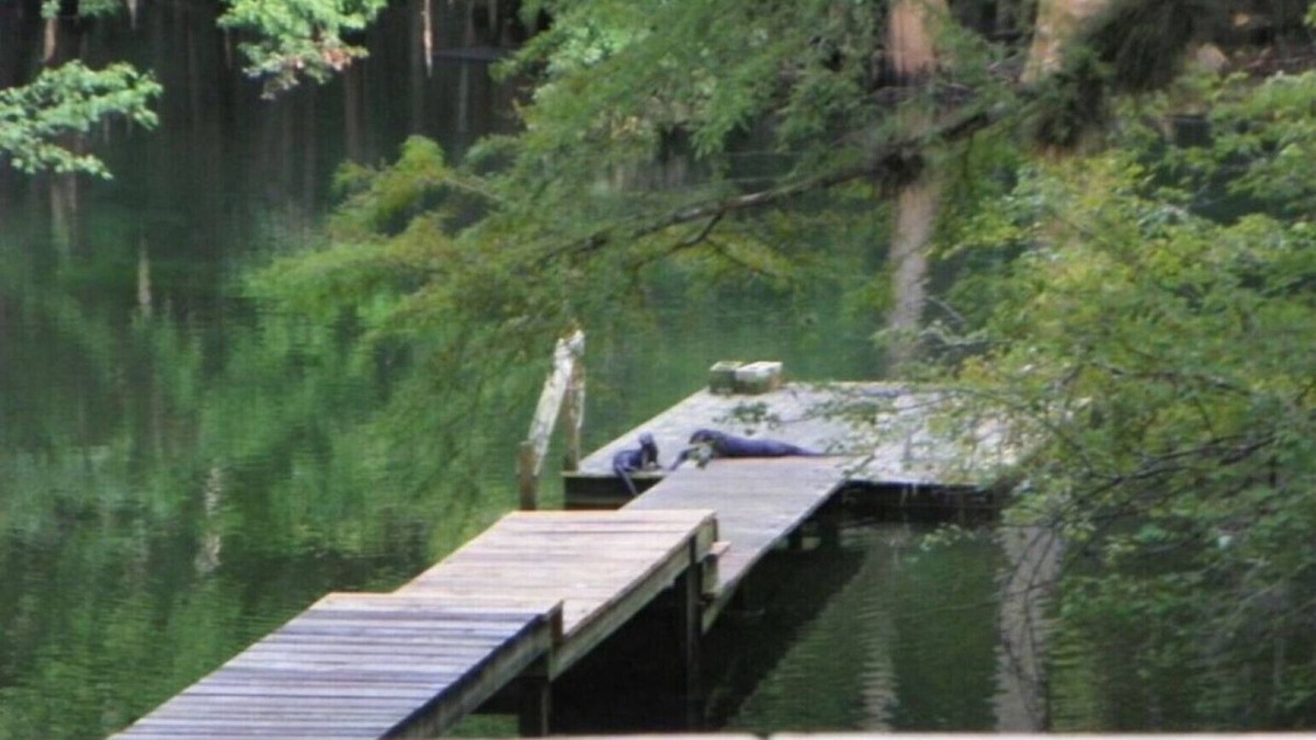Fort White House | ICHETUCKNEE RIVER - Riverfront on the Crystal Clear Ichetucknee River