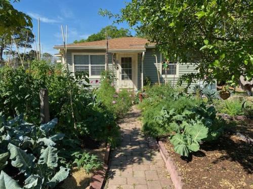 St. Petersburg - Clearwater Ski Chalet | Ida's Garden