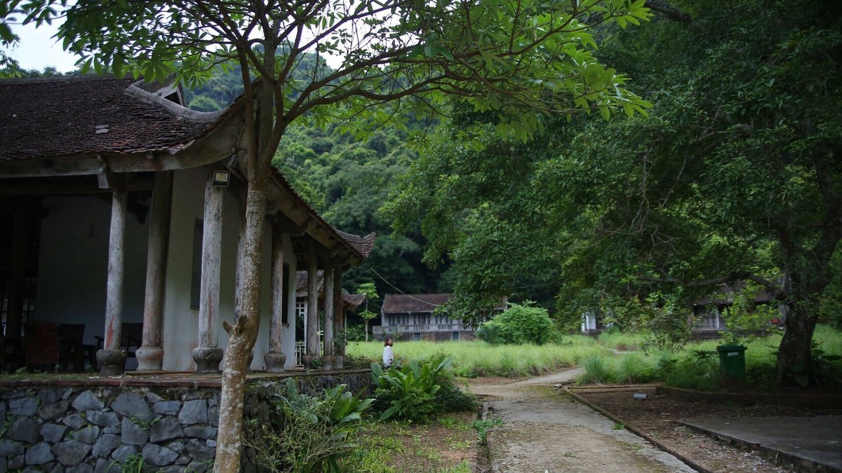 Cat Hai House | Ideal for small group to visit the landscape or practice meditation and yoga.
