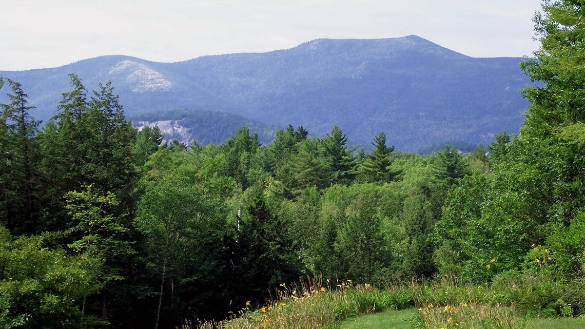 Intervale House | Ideal location: 5min. to Cranmore Adventure, 10 to Storyland, 15 min. to Outlets