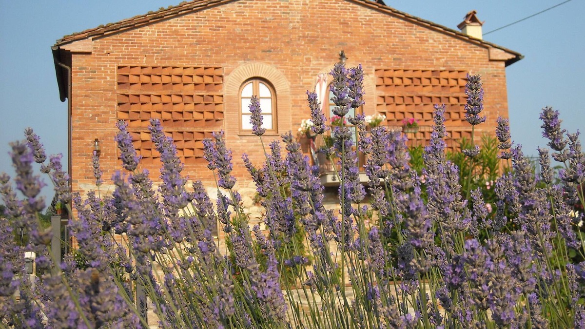 SantʼAndrea di Compito House | Ideal position for visiting Tuscany.private parking.owner at disposal.