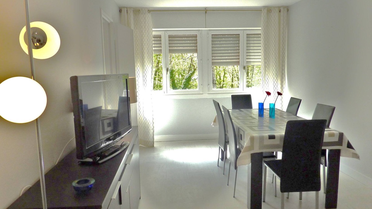 Blois Apartment | IDEAL TO VISIT THE CASTLES OF LOIRE BLOIS /AMBOISE /large apartment