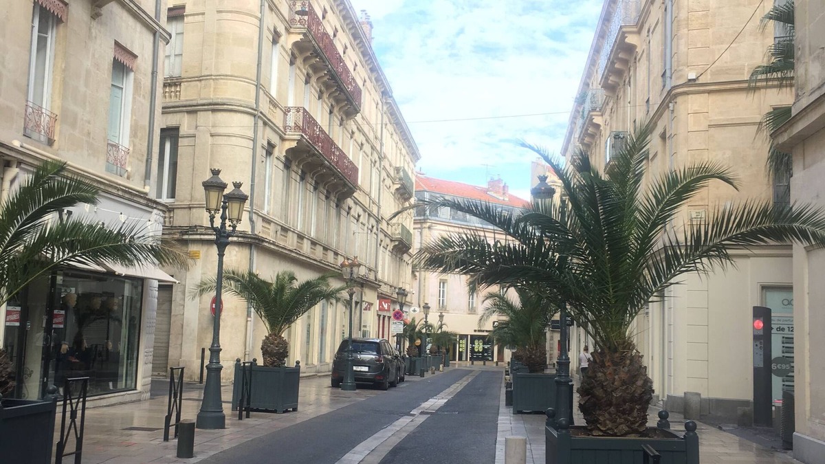 Faubourg Apartment | Ideally located apartment, Nîmes center, renovated