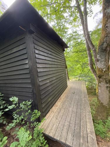 Them Other | Idylisk primitiv hytte midt i skoven