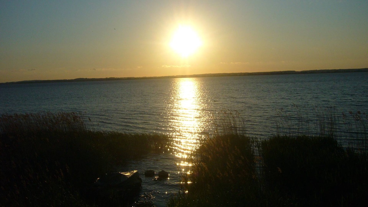 Meesiger Apartment | Idyllic holiday home in the nature near the lake (NO. 2)