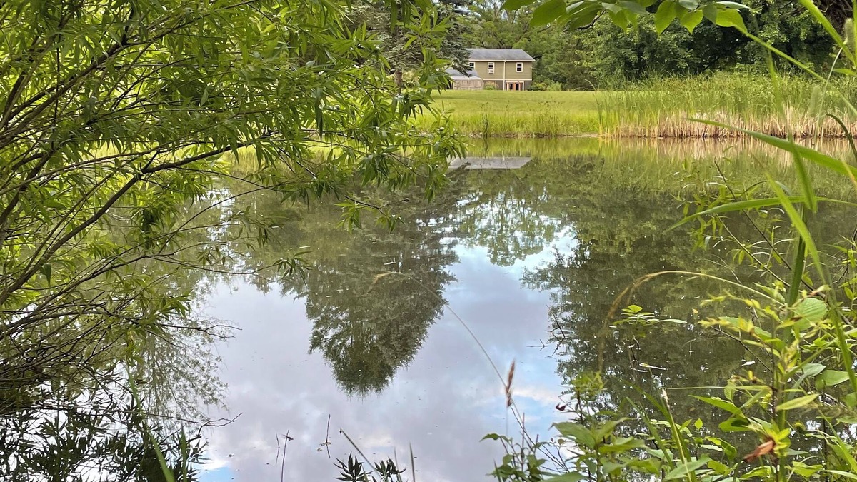 Wolcott House | Idyllic retreat with pond, just steps from Port Bay-rare Labor Day availability!