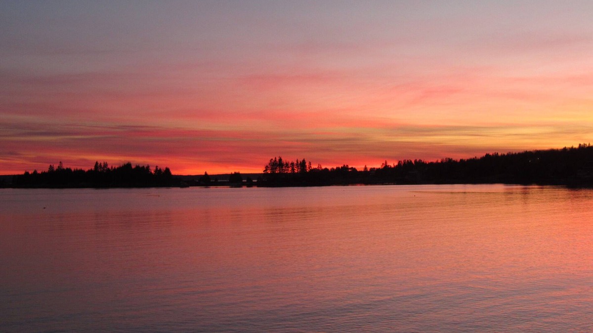 Black Point Cottage | Idyllic, sparkling clean ocean/beach cottage for your spontaneous getaway.
