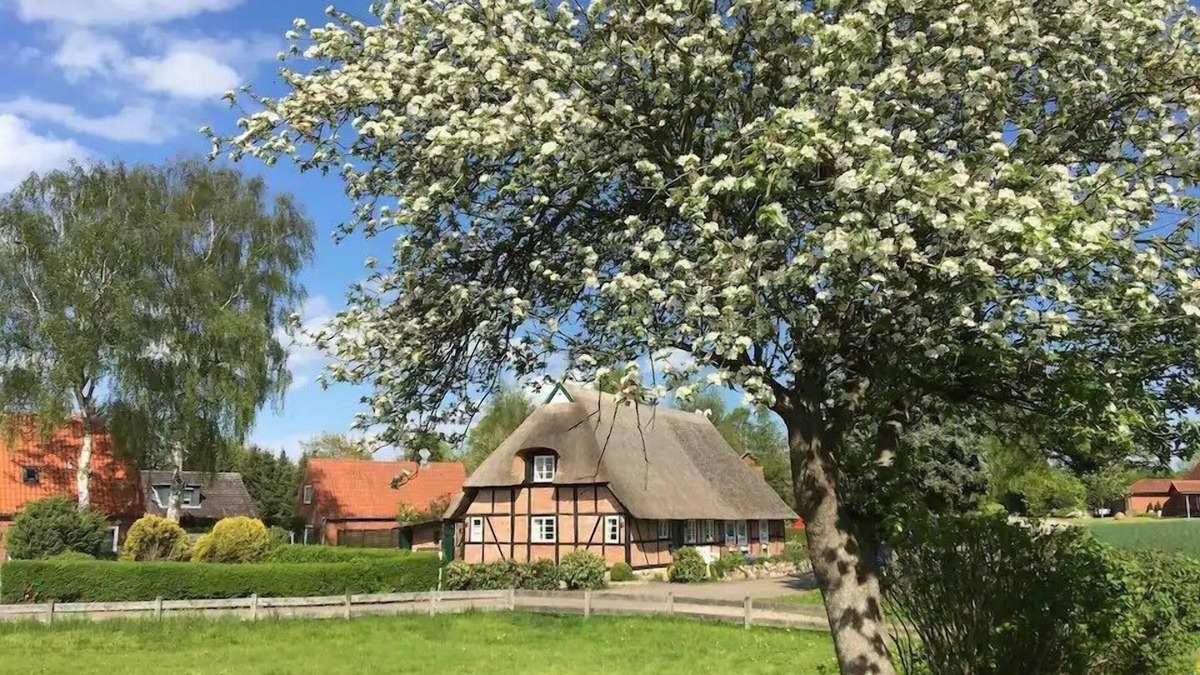 Schmiedendorf House | Idyllic thatched-roof house for 6 people near Hohwacht Bay
