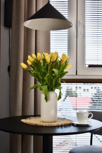 Zamosc Apartment | IGIS Apartament z tarasem na dachu