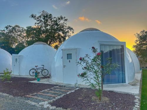 Barra de Navidad Apartment | Iglú Barba Roja con vista al cielo