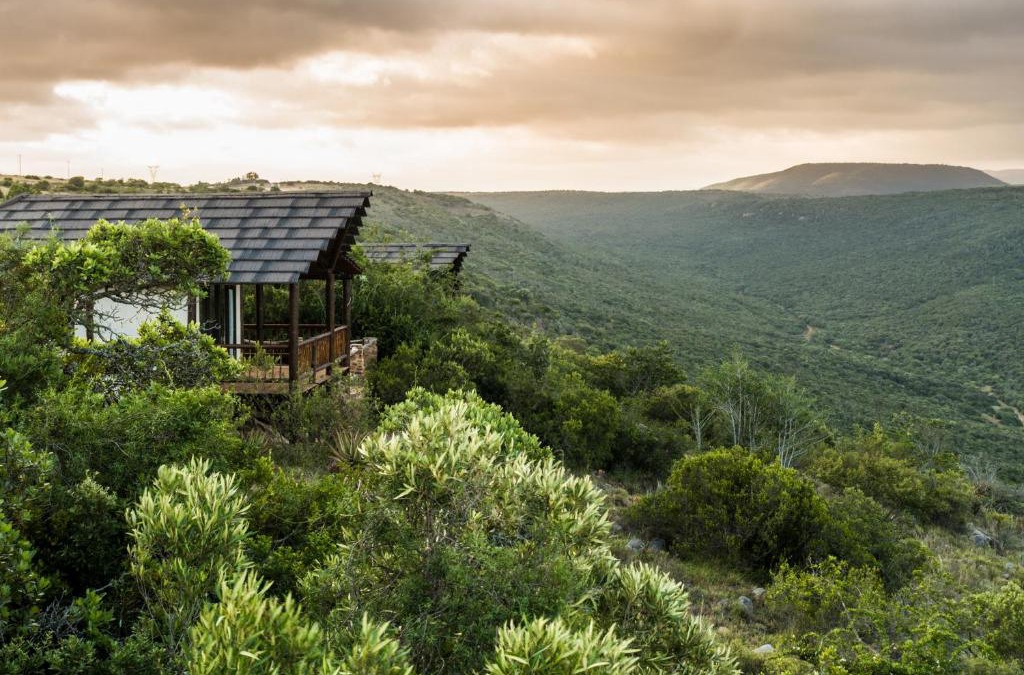 Paterson Cabin | Ikwanitsha Lodge