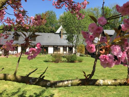 Saint-Hellier Bed & Breakfast | Il Était Autrefois