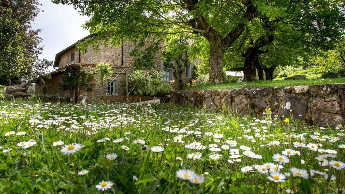 Poggio Alla Croce House | Il Bracconiere, luxury in Chianti - Wifi, swimming pool, parking