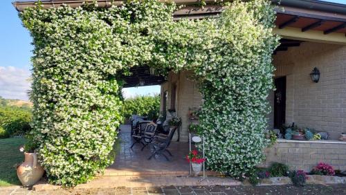 Ardea Bed & Breakfast | Il Casale Del Sogno