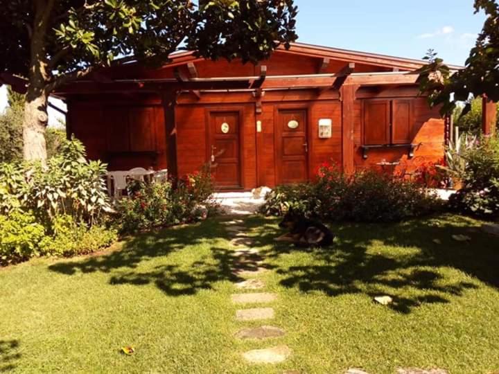 Zagarolo House | Il casale di rosaria