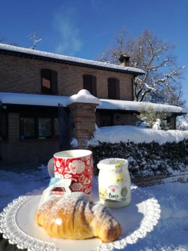 Camerino Bed & Breakfast | Il Castagneto