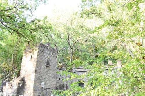 Gerano Bed & Breakfast | Il castello nel bosco