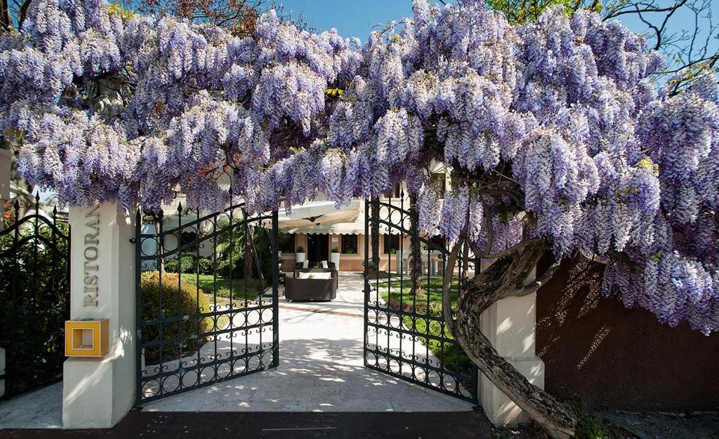 Cecchini Hotel | Il Cecchini