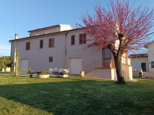 Crespina House | Il Colle affittacamere