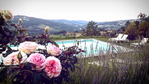 Rustigazzo Villa | Il Colombarone