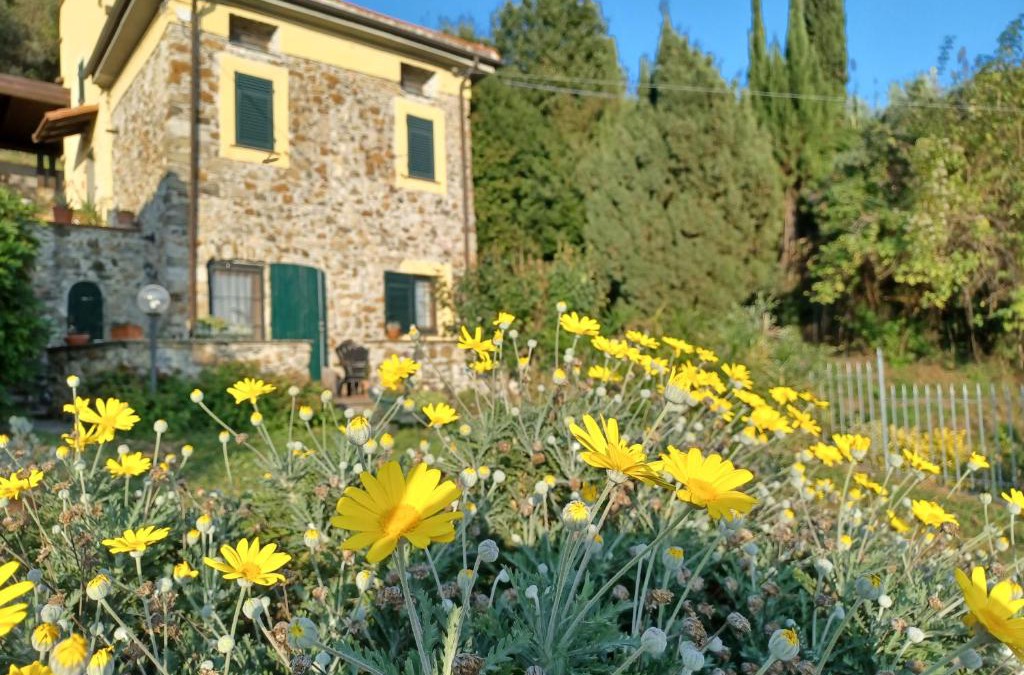 Santo Stefano di Magra Villa | Il Fontolo