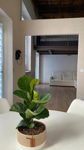 Savigliano Apartment | Il Garibaldi