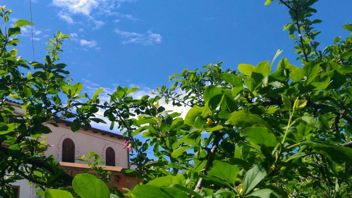 Alcamo Villa | Il Gelsomino Home Holiday, Alcamo (TP), Sicily. Relax and lots of sea