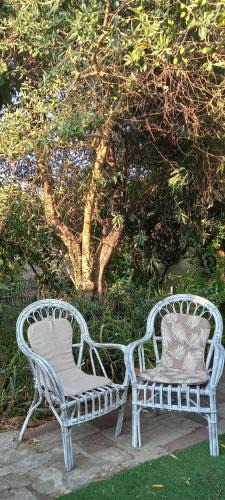 Solarussa House | Il Giardino