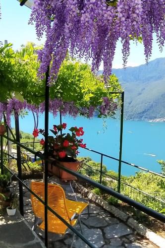 Tronzano Lago Maggiore Cabin | Il Glicine sul Lago