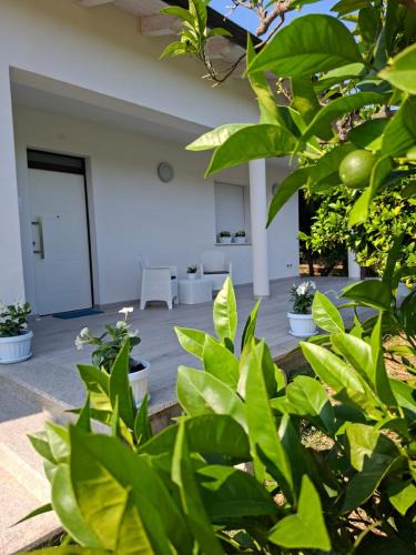 Vallevo House | Il MARangolo di GioSo