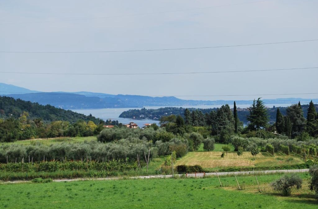Roe Volciano Apartment | Il Melograno b&b Apartament
