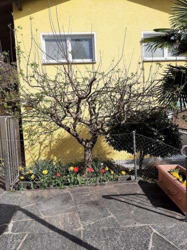 Riazzino Apartment | Il Nido