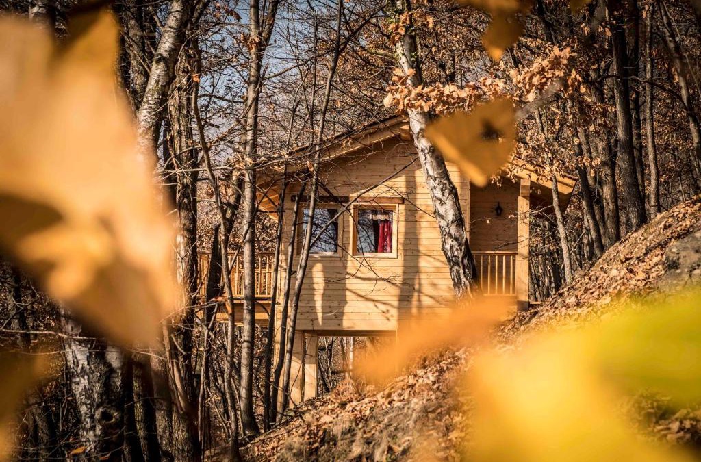Frassino Ski Chalet | Il Nido del Casalot