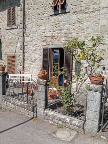 Moggiana Apartment | il Nido